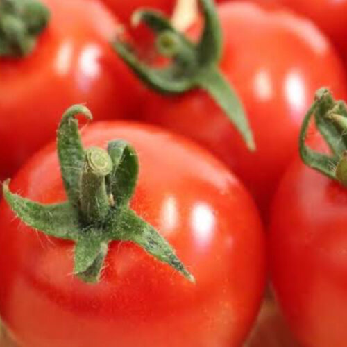 プチトマト🍅