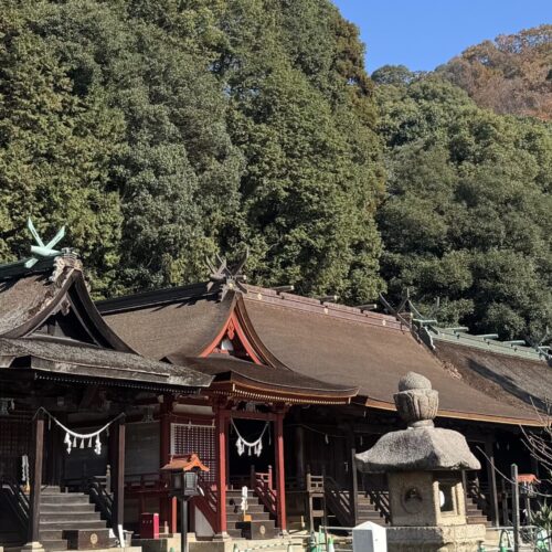 神頼み❤️頼み過ぎ