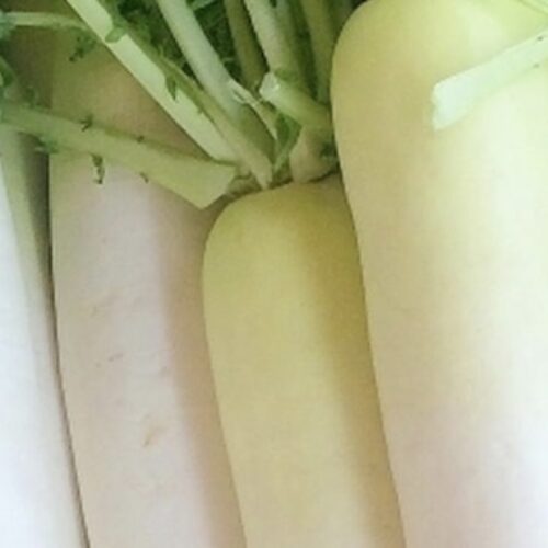 何に見えるかな？